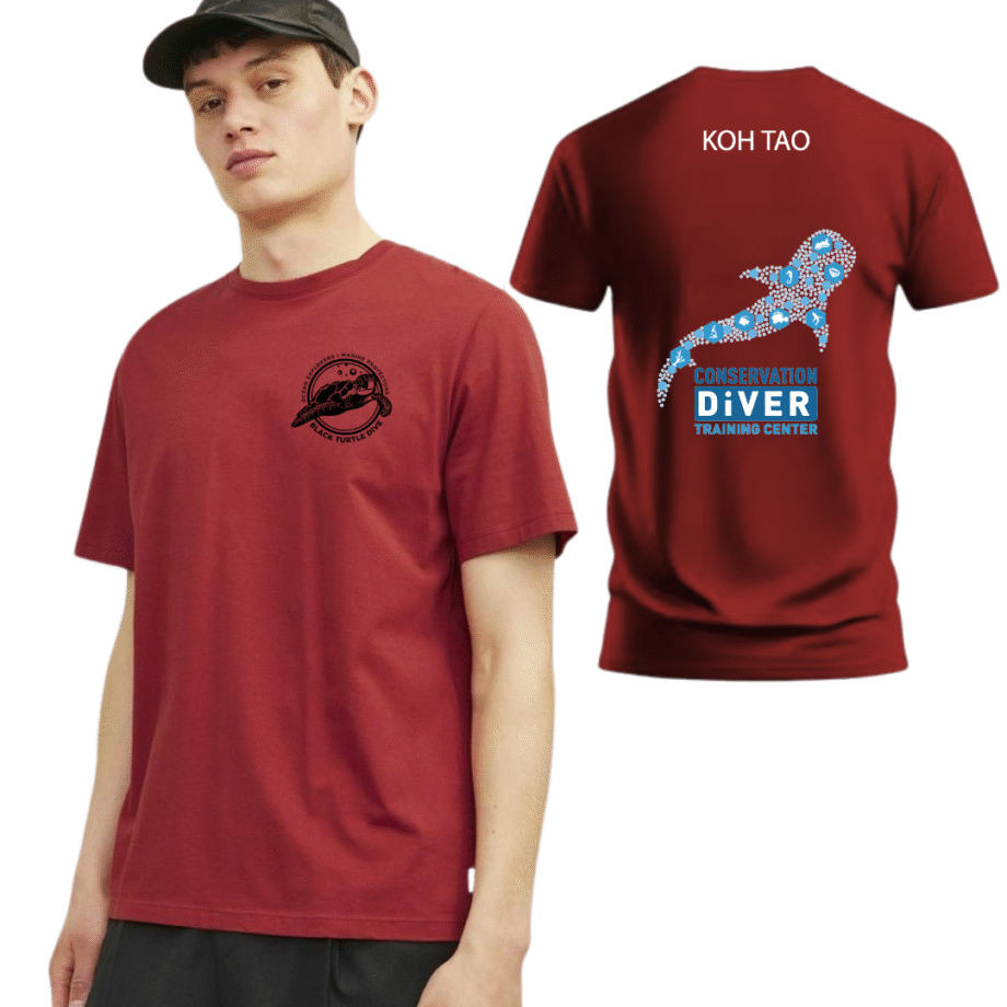 เสื้อลาย เกาะเต่ารูปปลา - Image 2